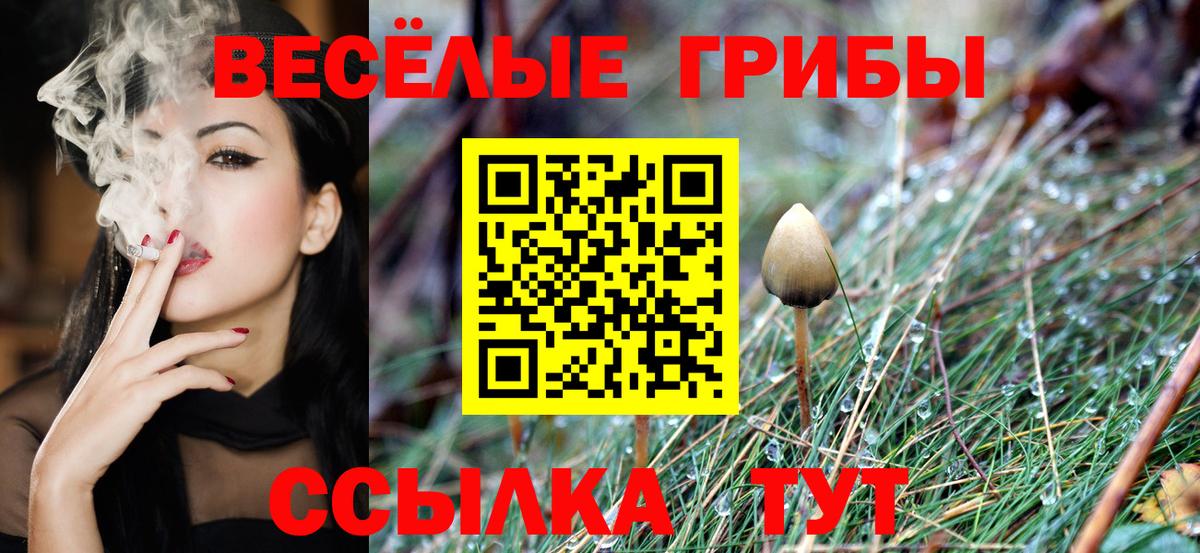 Псилоцибиновые грибы GOLDEN TEACHER  Вход с VPN  даркнет сайт  Сургут 