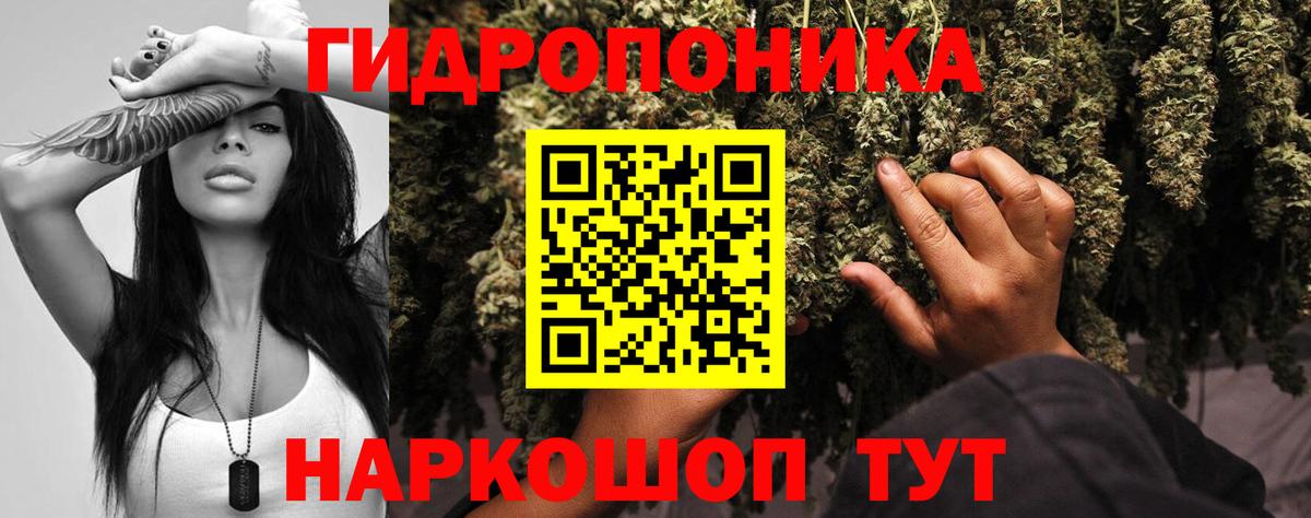Бошки Шишки Bruce Banner  Бошки марихуана MAZAR  Шишки марихуана ГИДРОПОН  Сургут  Вход с VPN 